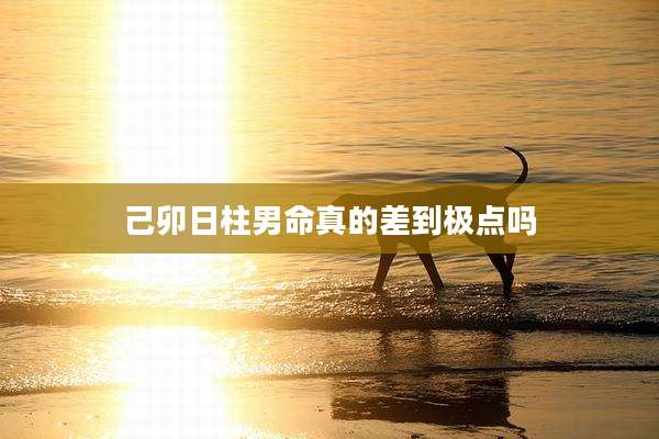 己卯日柱男命真的差到极点吗