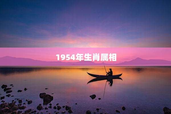 1954年生肖属相