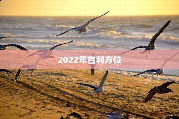 2022年吉利方位