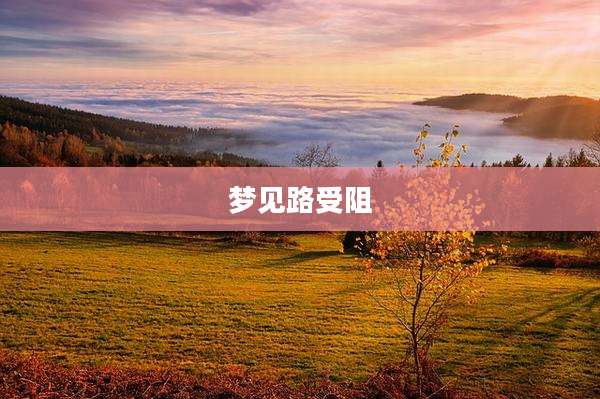 梦见路受阻