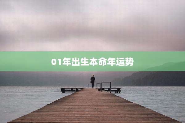 01年出生本命年运势