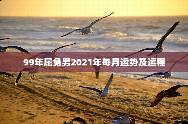 99年属兔男2021年每月运势及运程