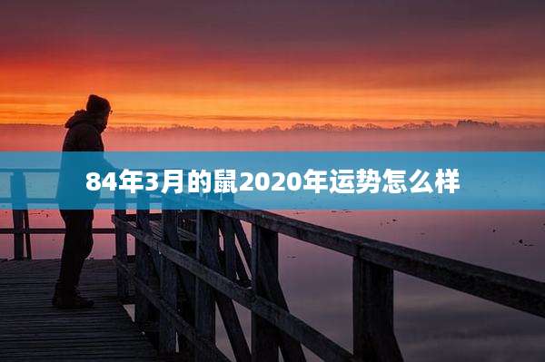 84年3月的鼠2020年运势怎么样