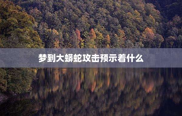 梦到大蟒蛇攻击预示着什么