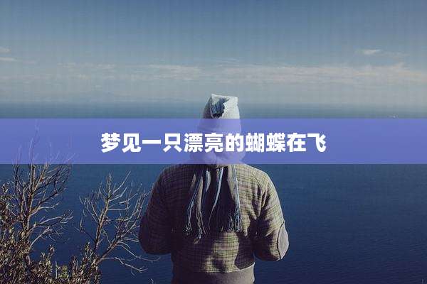 梦见一只漂亮的蝴蝶在飞