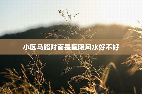 小区马路对面是医院风水好不好