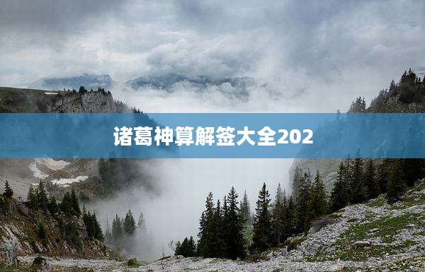 诸葛神算解签大全202