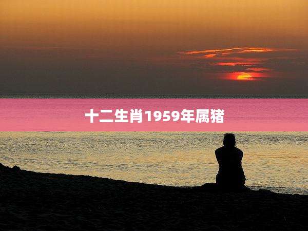 十二生肖1959年属猪
