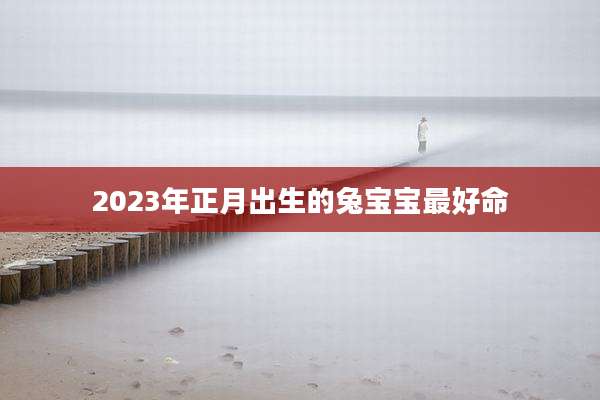 2023年正月出生的兔宝宝最好命