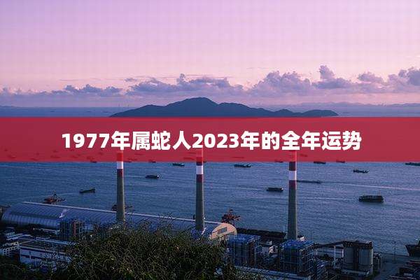 1977年属蛇人2023年的全年运势