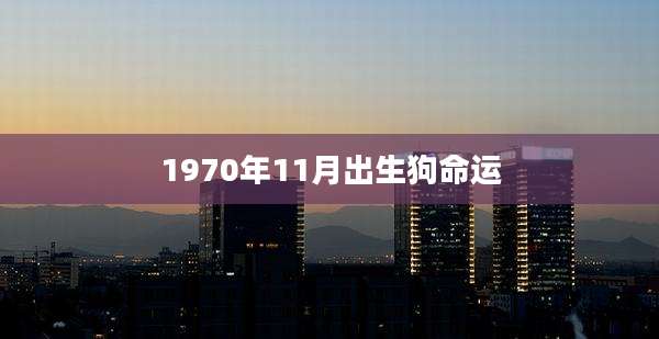 1970年11月出生狗命运