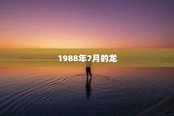1988年7月的龙
