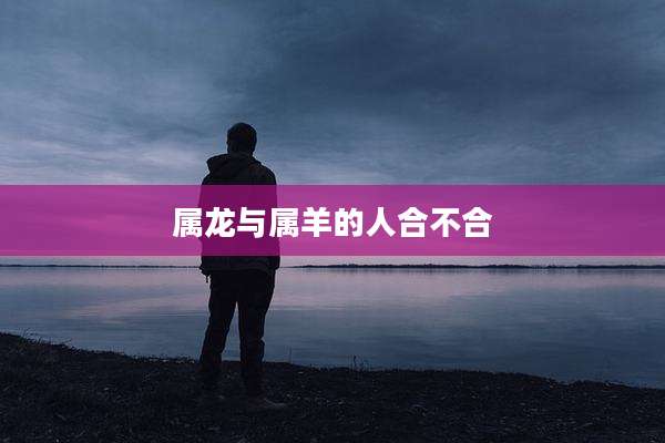 属龙与属羊的人合不合