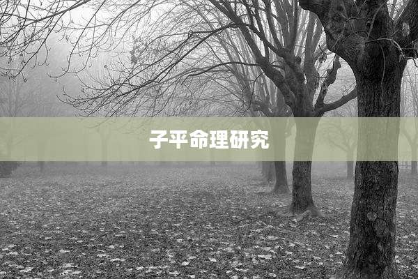 子平命理研究