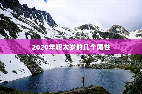 2020年犯太岁的几个属性