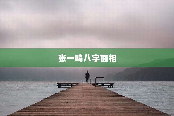 张一鸣八字面相