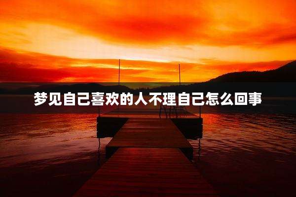 梦见自己喜欢的人不理自己怎么回事