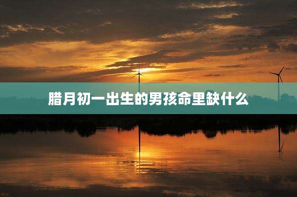 腊月初一出生的男孩命里缺什么