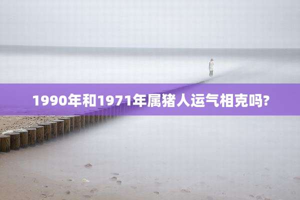 1990年和1971年属猪人运气相克吗?