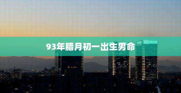93年腊月初一出生男命