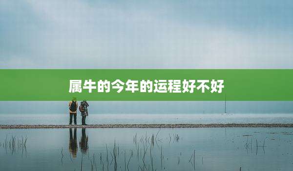 属牛的今年的运程好不好