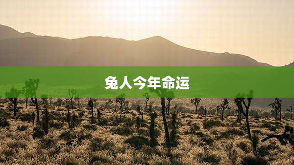兔人今年命运