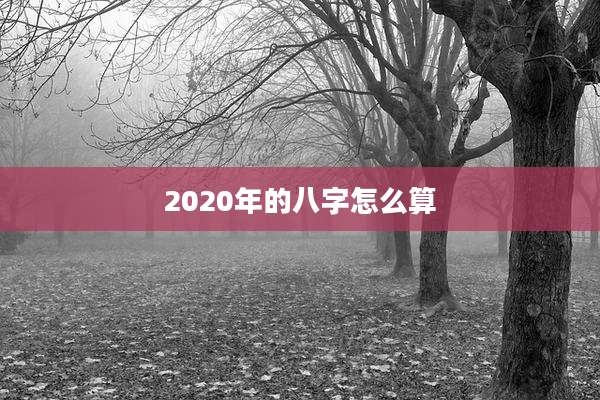 2020年的八字怎么算