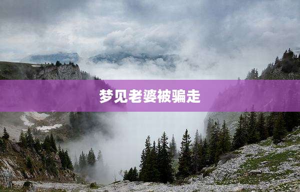 梦见老婆被骗走