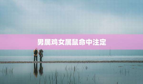 男属鸡女属鼠命中注定