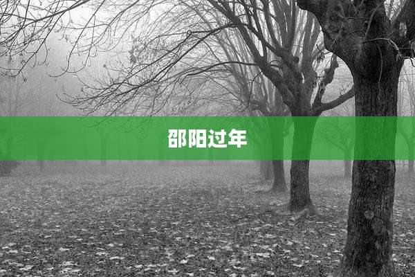 邵阳过年