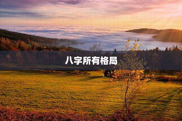 八字所有格局