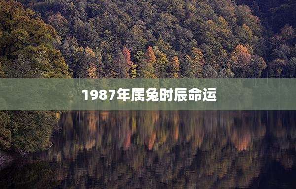 1987年属兔时辰命运