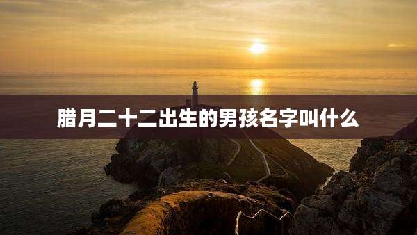 腊月二十二出生的男孩名字叫什么