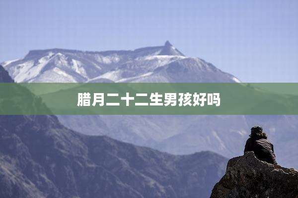 腊月二十二生男孩好吗