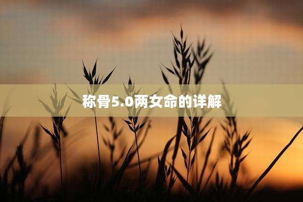 称骨5.0两女命的详解