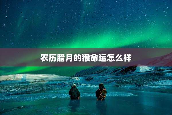 农历腊月的猴命运怎么样