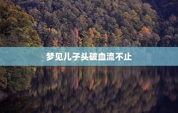 梦见儿子头破血流不止