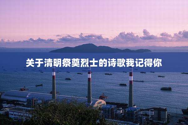 关于清明祭奠烈士的诗歌我记得你