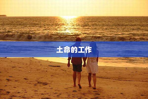 土命的工作