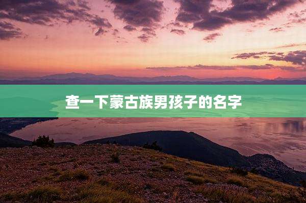 查一下蒙古族男孩子的名字