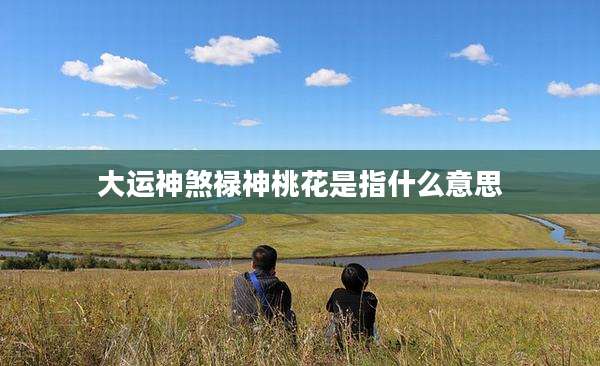 大运神煞禄神桃花是指什么意思