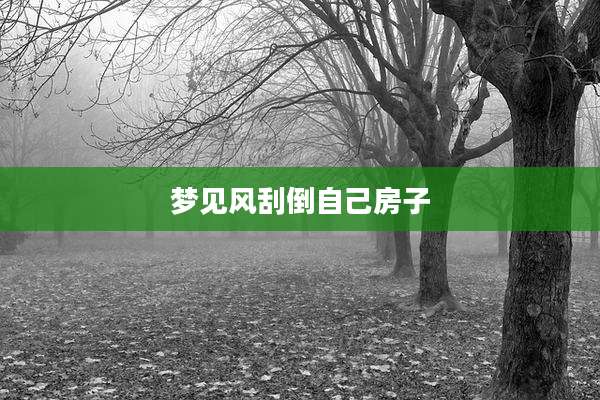 梦见风刮倒自己房子