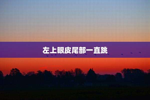 左上眼皮尾部一直跳