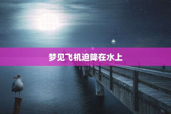 梦见飞机迫降在水上