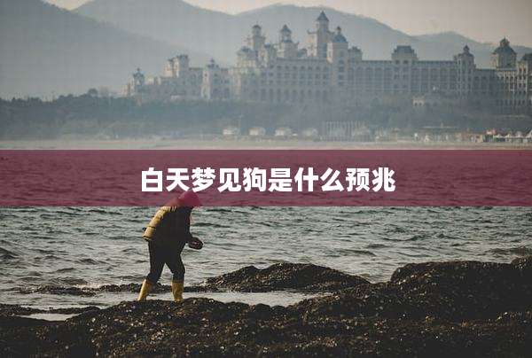 白天梦见狗是什么预兆