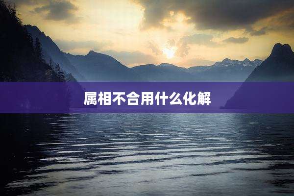 属相不合用什么化解