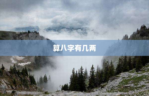 算八字有几两