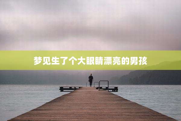 梦见生了个大眼睛漂亮的男孩