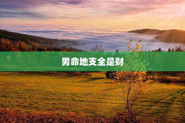 男命地支全是财