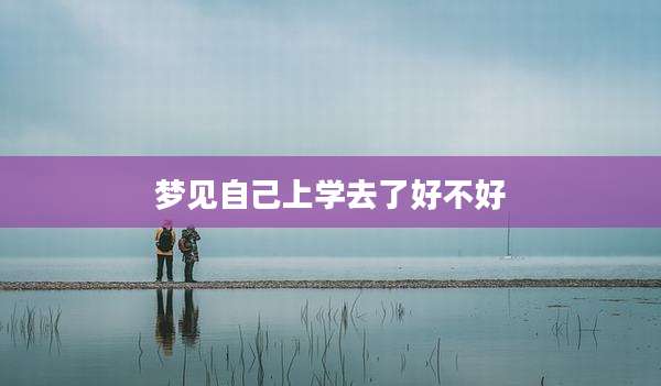 梦见自己上学去了好不好